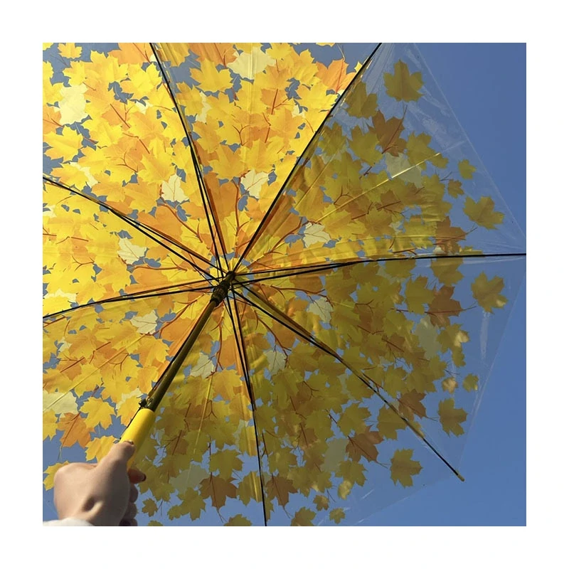Straight Umbrella Clear Auto 317